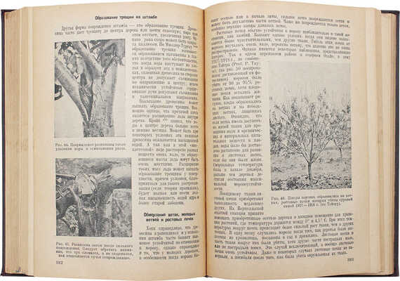 Чендлер У.Х. Плодоводство / Пер. и ред. Е.И. Алешина. М.; Л.: Сельхозгиз, 1935.